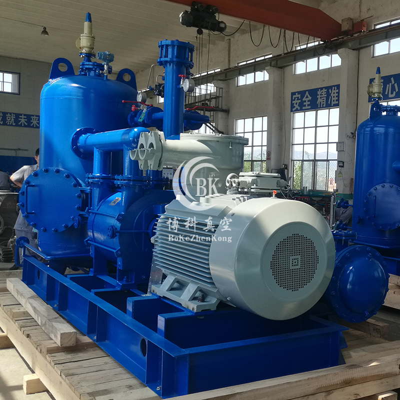 干式真空机组 干式真空机组